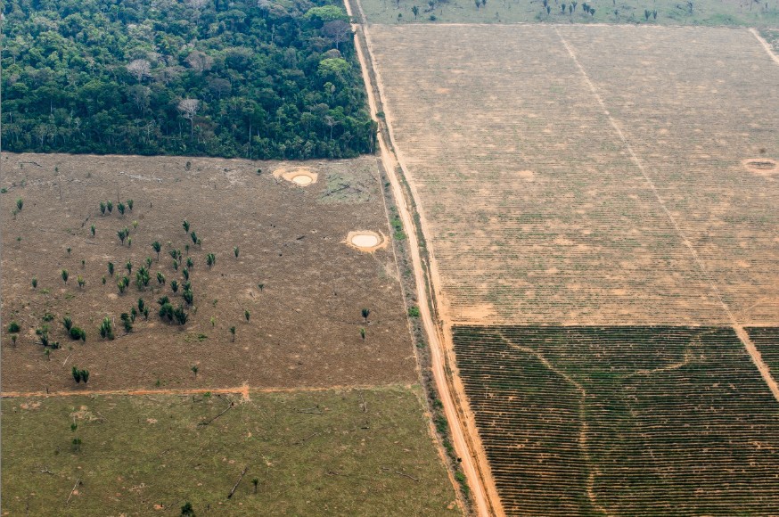 Desmatamento e queimadas na Floresta Amazônica. Porto Velho (RO) 17/09/2021