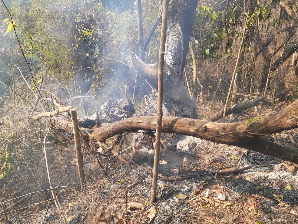 Fogo atinge área de pasto de grande extensão em Cantagalo, no RJ — Foto: Corpo de Bombeiros de Nova Friburgo/ Divulgação