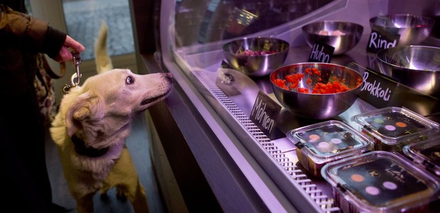 Alemão abre restaurante de luxo para cães e gatos em Berlim (Foto: AFP)