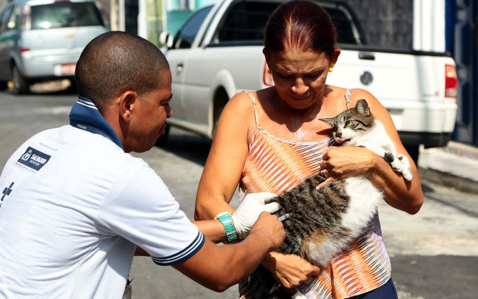 Durante vistoria de imóveis, cães e gatos são vacinados contra raiva (Foto: Bruno Concha/Secom)
