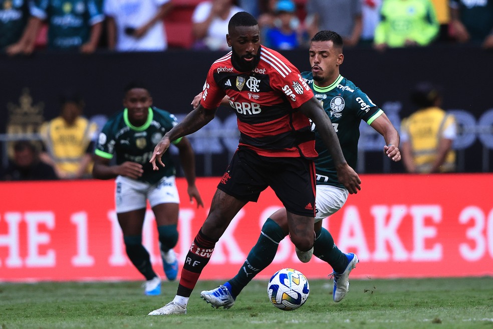 gerson menino flamengo palmeiras &mdash; Foto:  Ettore Chiereguini/AGIF