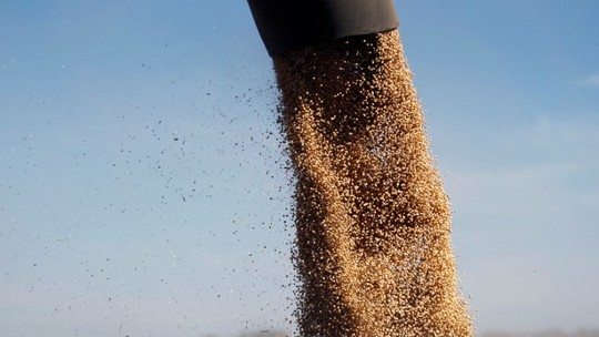 Após atrasos, chuvas impulsionam plantio de soja na Argentina