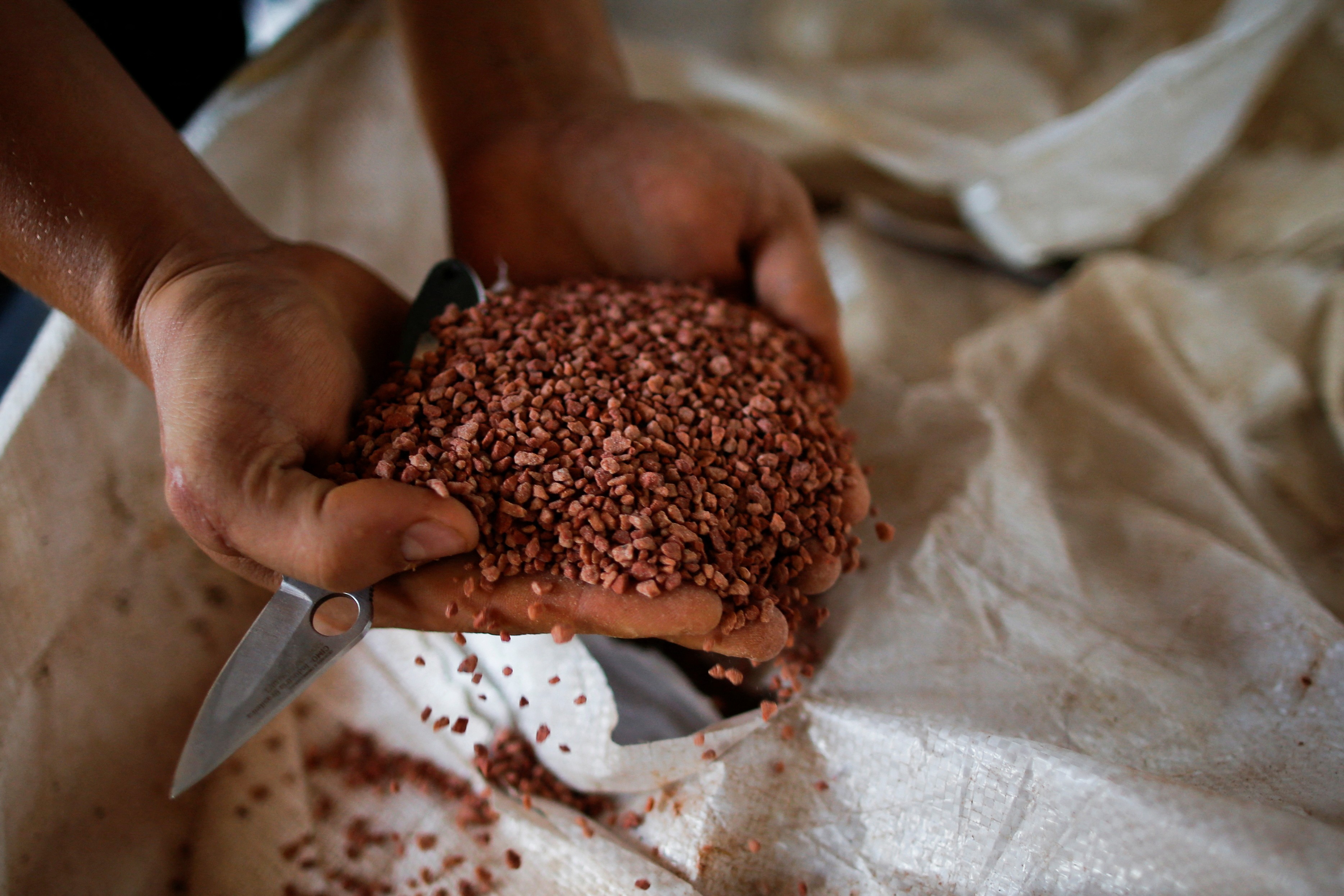 Agricultor mostra fertilizante antes de aplicação  (Foto: REUTERS/Adriano Machado)