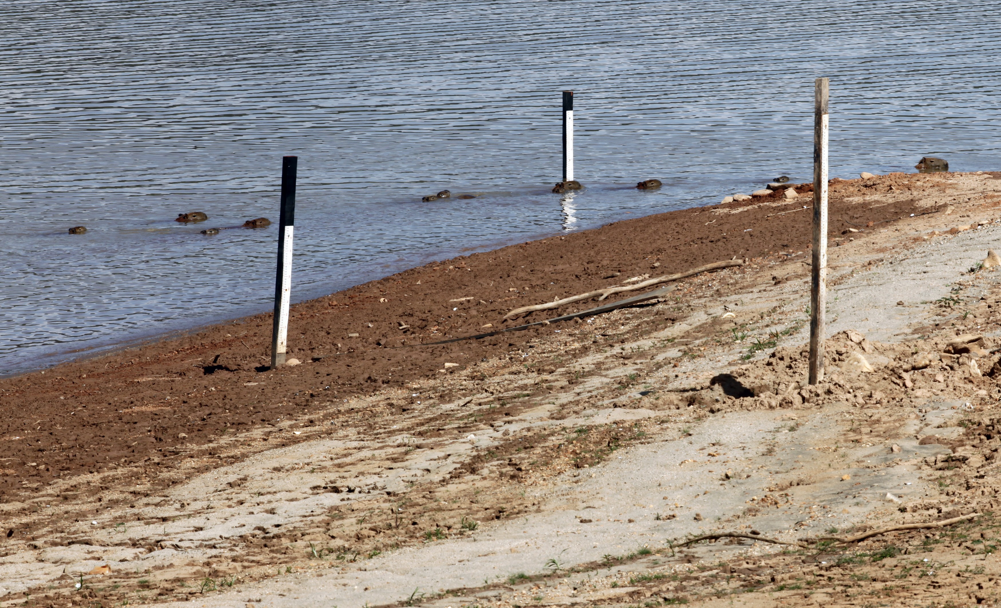 Instrumentos de medição de nível d'água em represa em meio à críse hídrica de 2014 20/02/2014  (Foto: REUTERS/Paulo Whitaker)