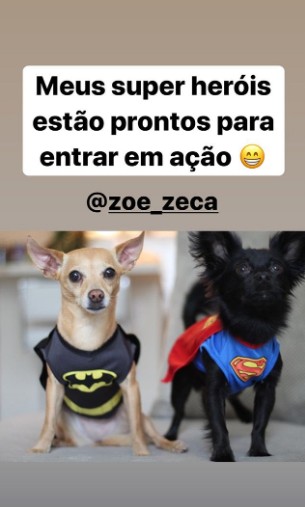 Marta mostra foto fofa de Zoe e Zeca (Foto: Reprodução / Instagram)