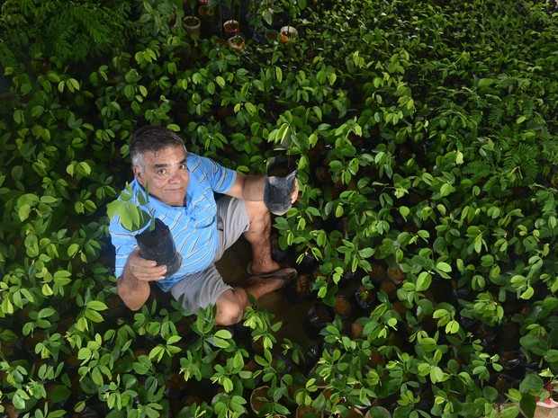 G1 - Mecânico faz 2 mil mudas para plantar às margens de rio do ES