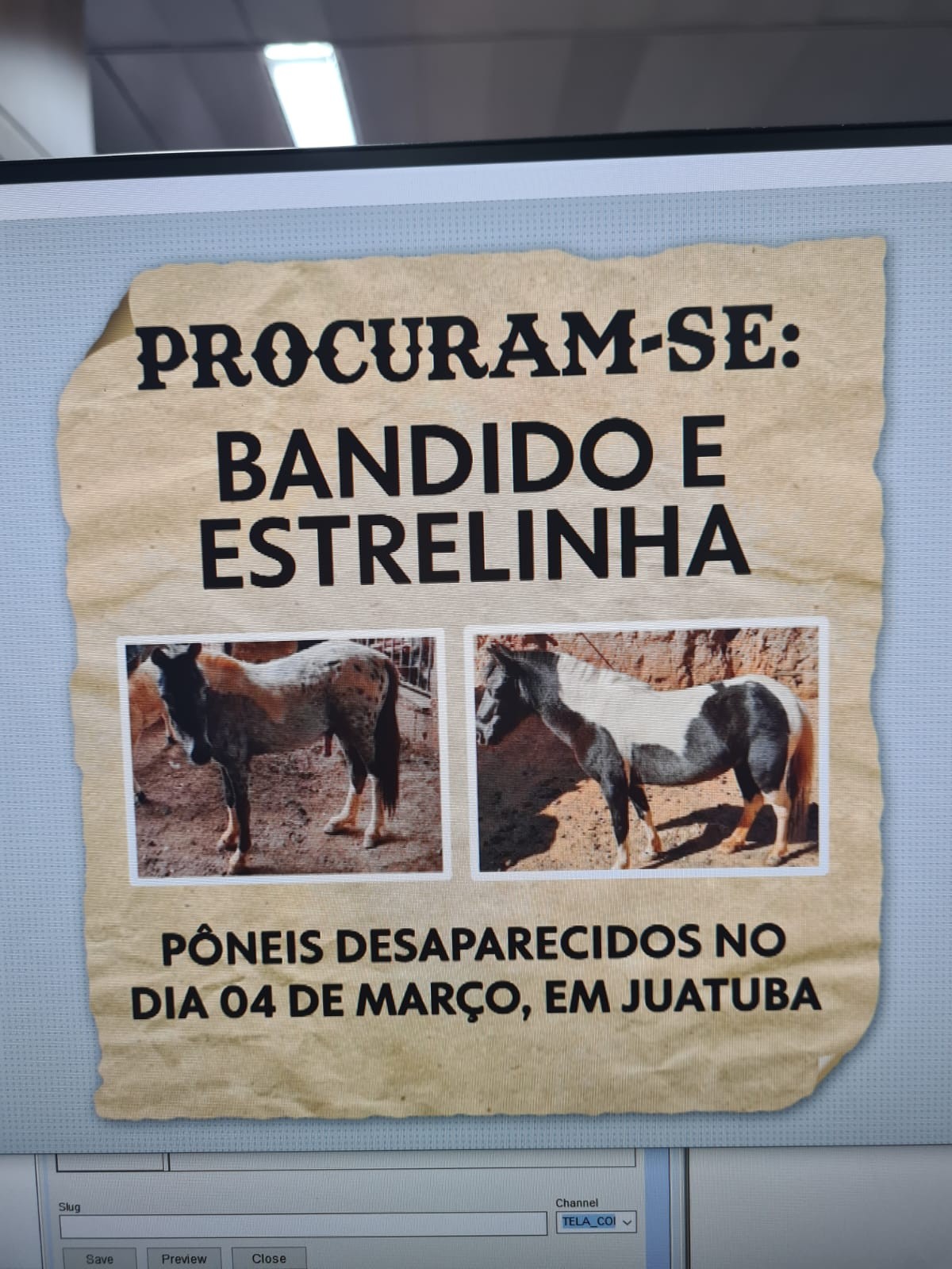 'Eu até choro, sinto bastante falta', diz criança após dois pôneis sumirem na Grande BH 