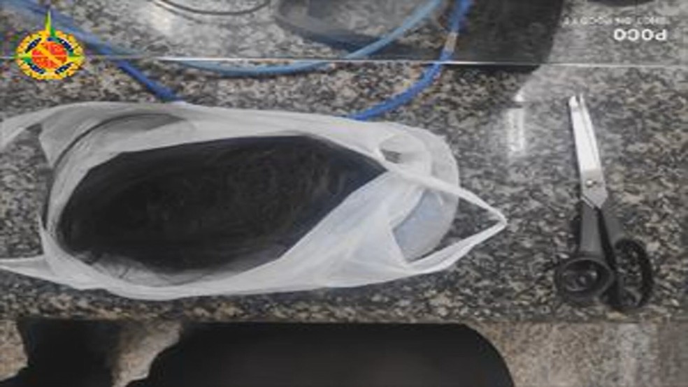 Cabelo e tesoura encontrados na residência do casal, em São Sebastião, no DF — Foto: PMDF/Divulgação