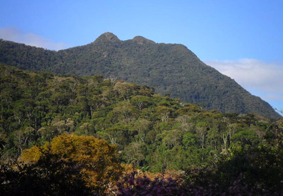 Trilha dos Três Picos no Parque Nacional do Itatiaia — Foto: Divulgação/Parque Nacional do Itatiaia