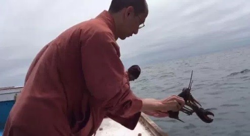 Monge devolve lagosta ao Atlântico