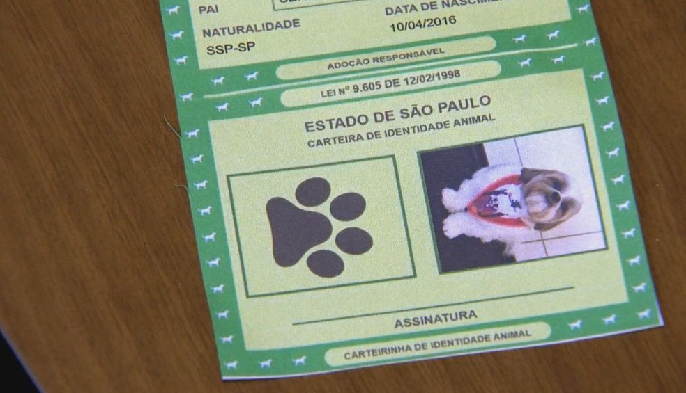 Documento é emitido pela prefeitura de Barra Bonita — Foto: Tv Tem / Reprodução