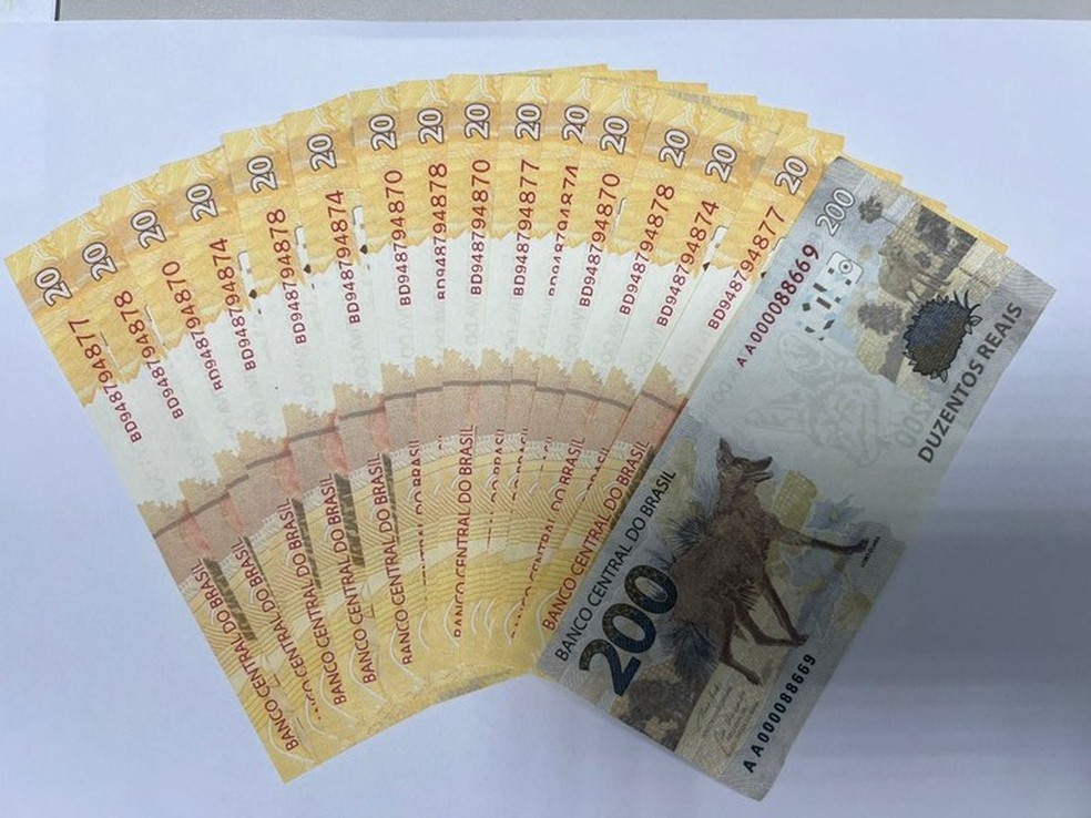 Cédulas falsas foram apreendidas no ato em que foram entregues ao destinatário, em Fortaleza — Foto: Divulgação/PF