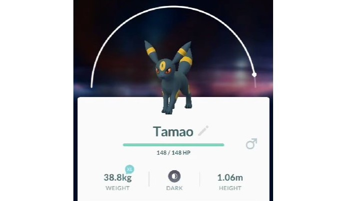 Como Escolher A Evolucao Do Eevee Em Pokemon Go Dicas E Tutoriais Techtudo O eevee tem sete evolucoes disponiveis em pokemon go, faltando apenas o sylveon, do tipo fada, que ainda nao foi disponibilizado no jogo. como escolher a evolucao do eevee em