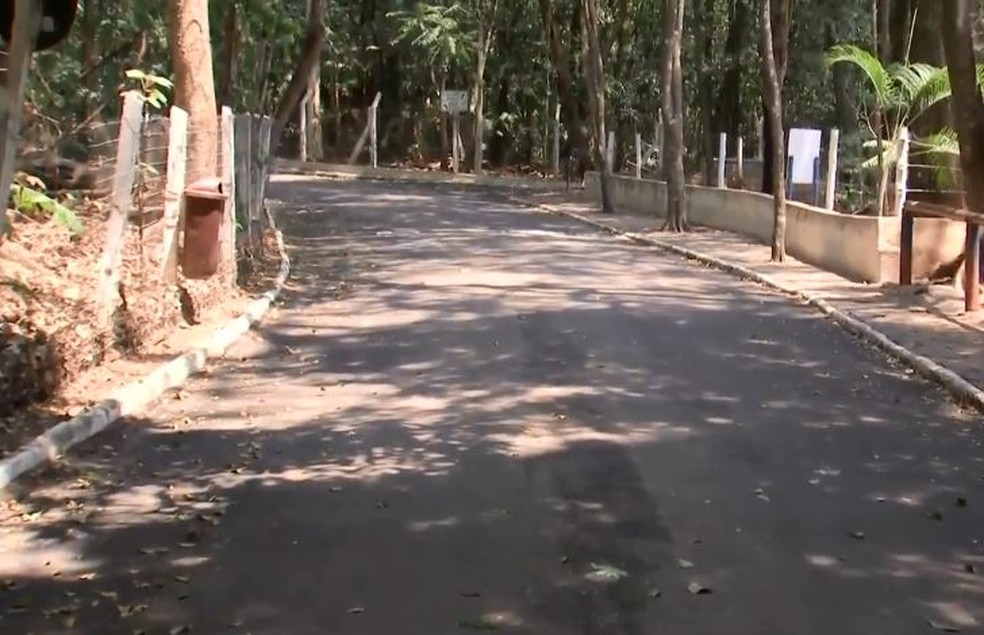 Após meses fechado, Bosque Municipal reabre aos fins de semana em Marília — Foto: Reprodução/TV TEM