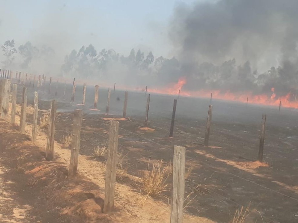 Fazendas são destruídas pelo fogo no Norte de MT — Foto: Corpo de Bombeiros