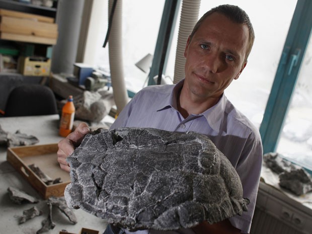Tartaruga apresentada no fóssil viveu há cerca de 250 milhões de anos (Foto: Reuters/Peter Andrews)