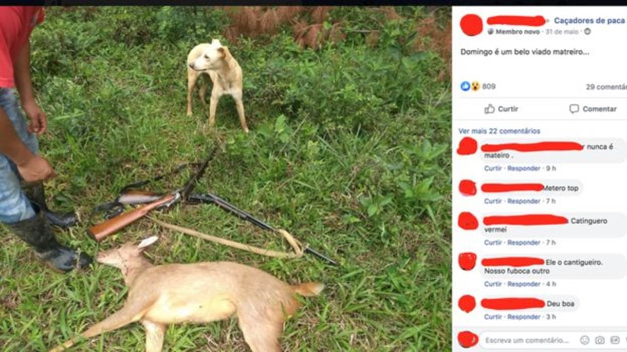 Caçadores expõem matança de animais silvestres no Facebook e YouTube thumbnail