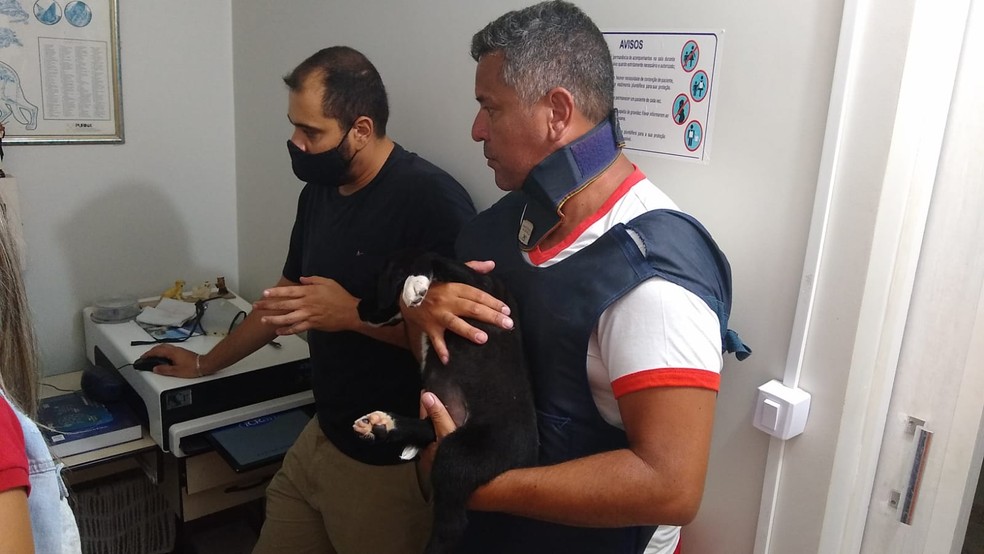Militar e veterinário que atenderam 'Sentinela', atropelado e abandonado em uma rua de Taguatinga, no DF — Foto: Arquivo pessoal