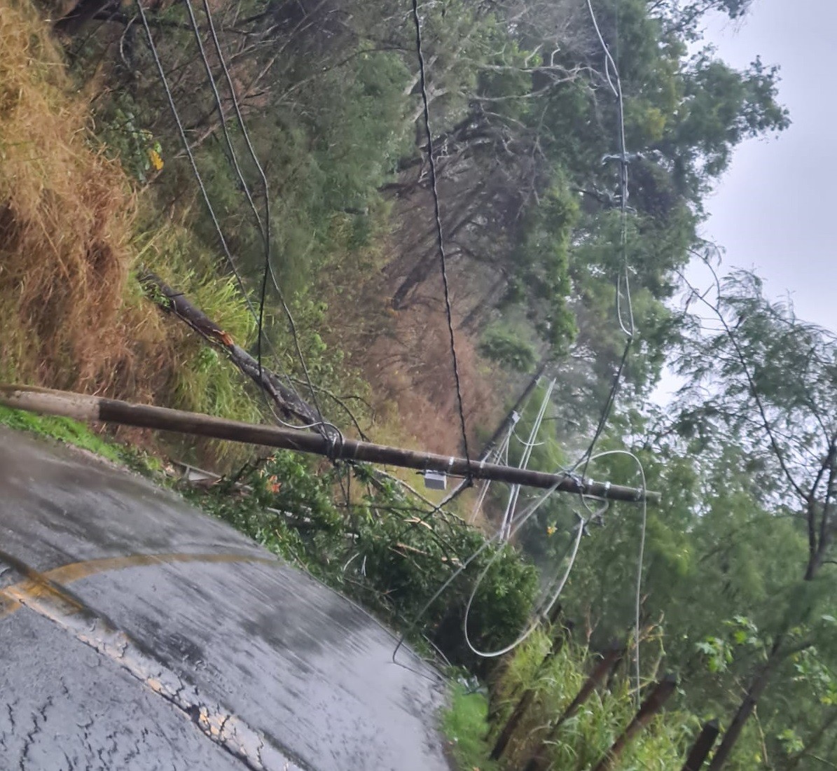 Árvore cai e derruba poste durante chuva em Resende