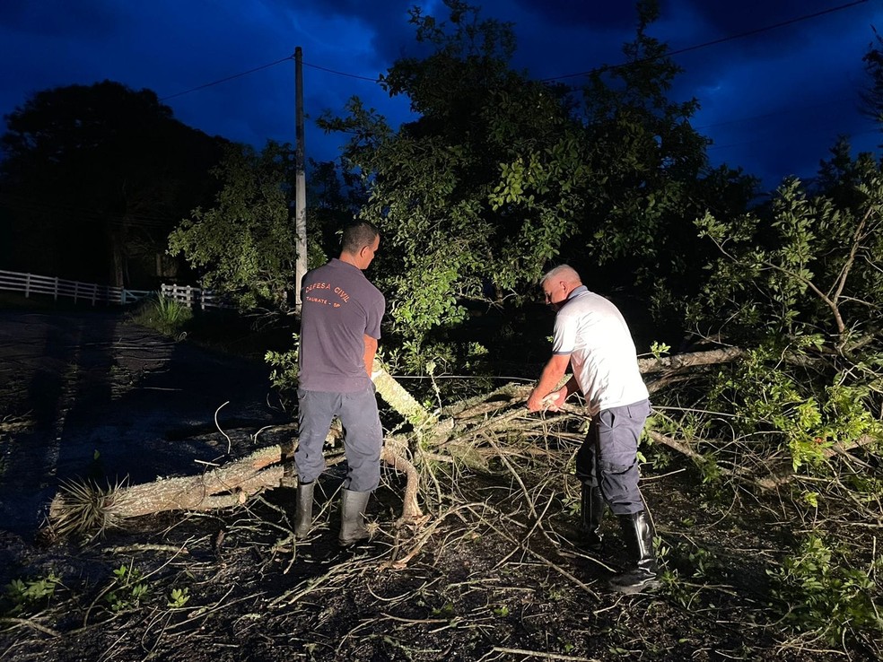 Queda da árvore interditou estrada no bairro do Paiol e deixou moradores sem energia elétrica — Foto: Divulgação/Defesa Civil