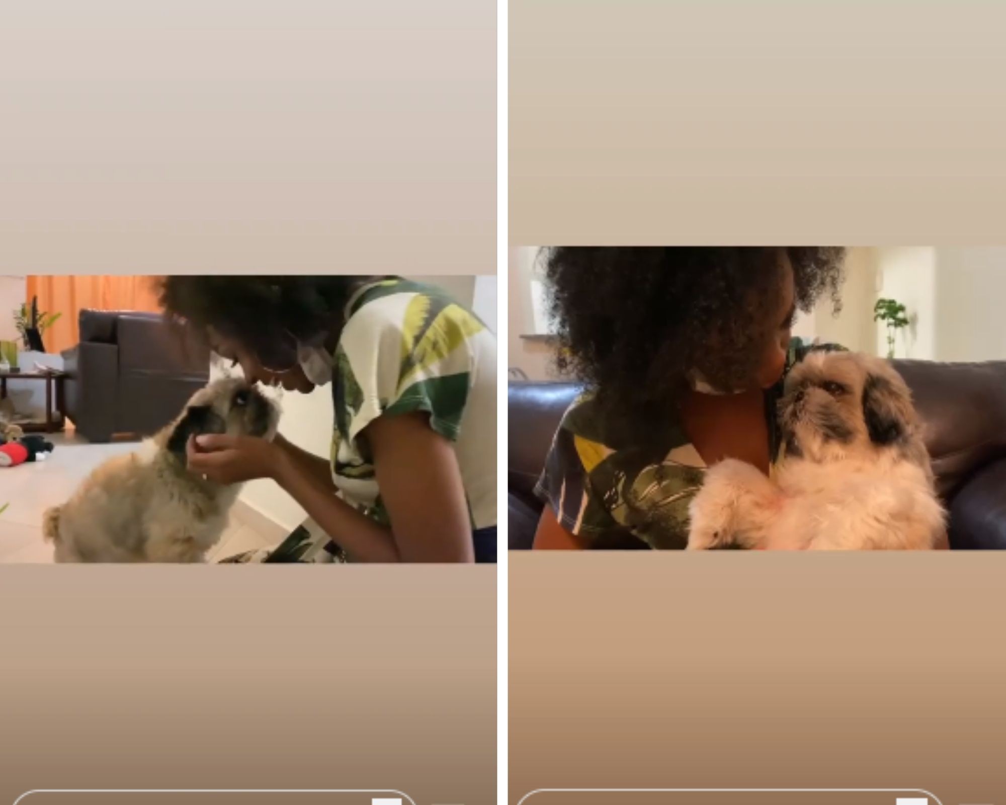 Thelma Assis volta para casa, em São Paulo e reencontra seu cachorro Chico (Foto: Reprodução/Instagram)