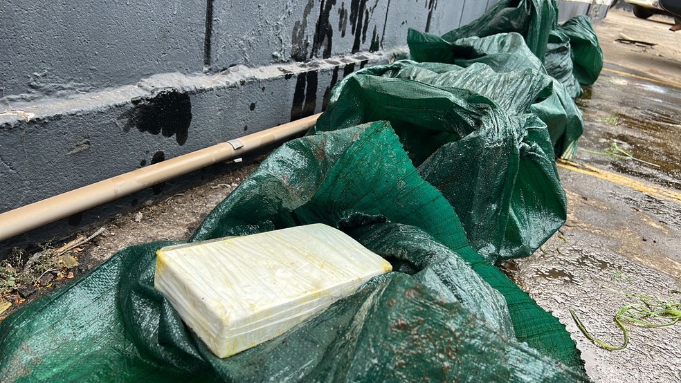 Tijolos de cocaína foram encontrados dentro de carga de óleo em caminhão em Limeira — Foto: Divulgação/Dise de Americana