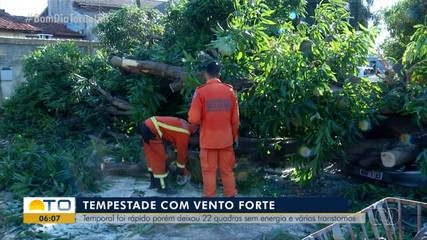Temporal deixa quadras sem energia e árvores caídas em toda capital
