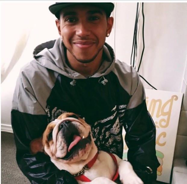 O piloto de Fórmula 1 Lewis Hamilton com a cachorrinha Coco (Foto: Instagram)