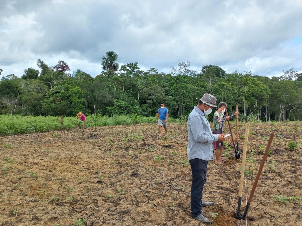 Projeto fortalece economia e preservação  — Foto: SOS Amazônia 