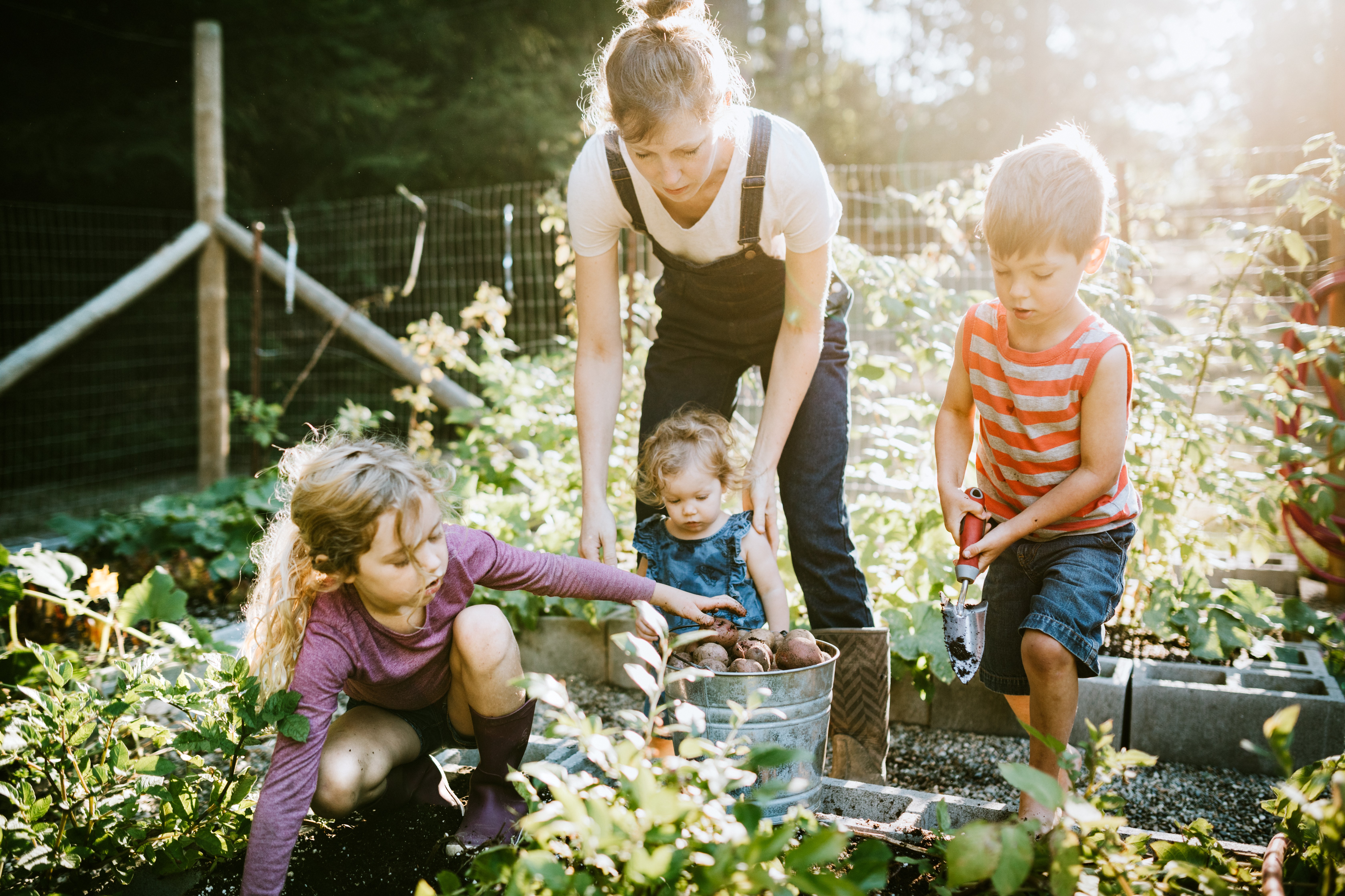 Família cuidando de jardim  (Foto: Getty Images)