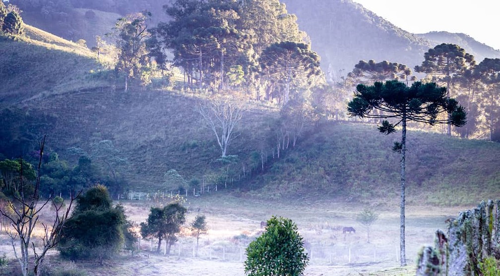 Cidades Tem Madrugada Mais Fria Do Ano No Sul De Mg Minimas Chegam A 1 3Âº C Sul De Minas G1
