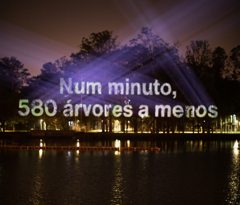 Projeção em árvores do Parque do Ibirapuera alertam sobre queimadas na floresta amazônica. — Foto: Fernando Genaro/La Carretera