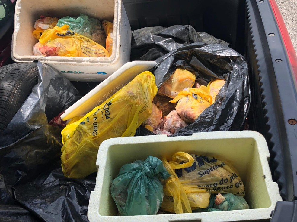 Na casa dos suspeitos foram encontrados, além das partes do boi abatido, muita carne congelada armazenada — Foto: Delegacia de Roubos e Furtos (Derf) de Barra do Garças