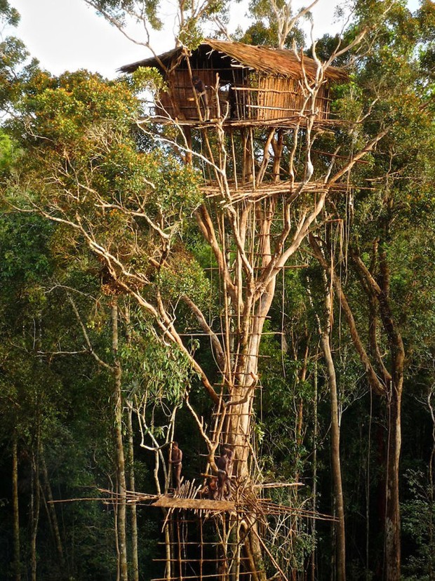 As casas na árvore mais lindas do mundo (Foto: Reprodução)