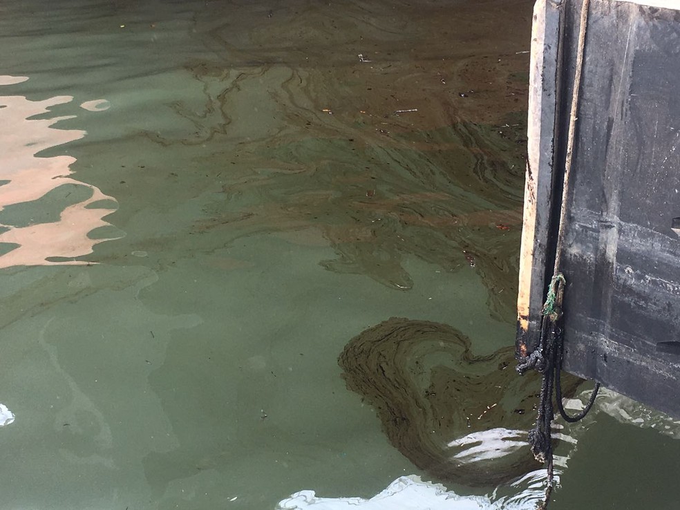 Óleo foi derramado no Porto de Santos (Foto: Solange Freitas/G1)