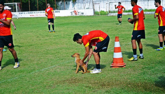 Cão invade treino do Tricordiano (Foto: Régis Melo)
