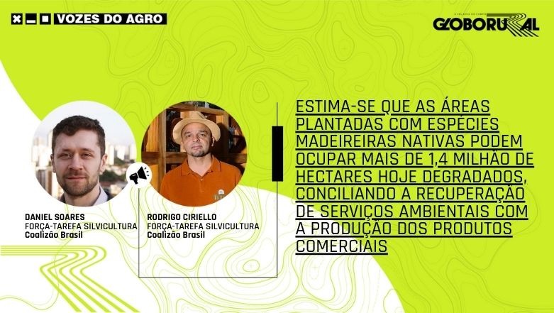 vozes agro coalizao silvicultura (Foto: Globo Rural)