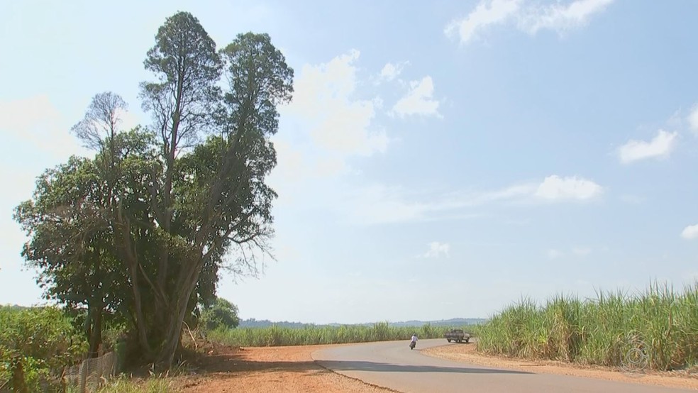 Acidente foi na estrada vicinal Octavio Pilon entre Cerquilho e Cesário Lange (SP) — Foto: Reprodução/TV TEM