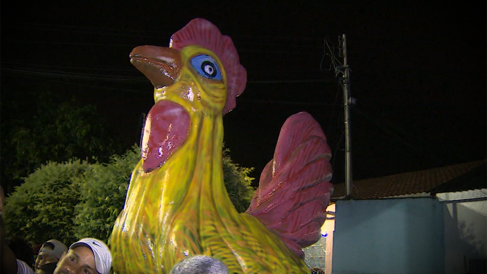 Bloco Galo da Meia Noite em Porto Velho — Foto: Reprodução