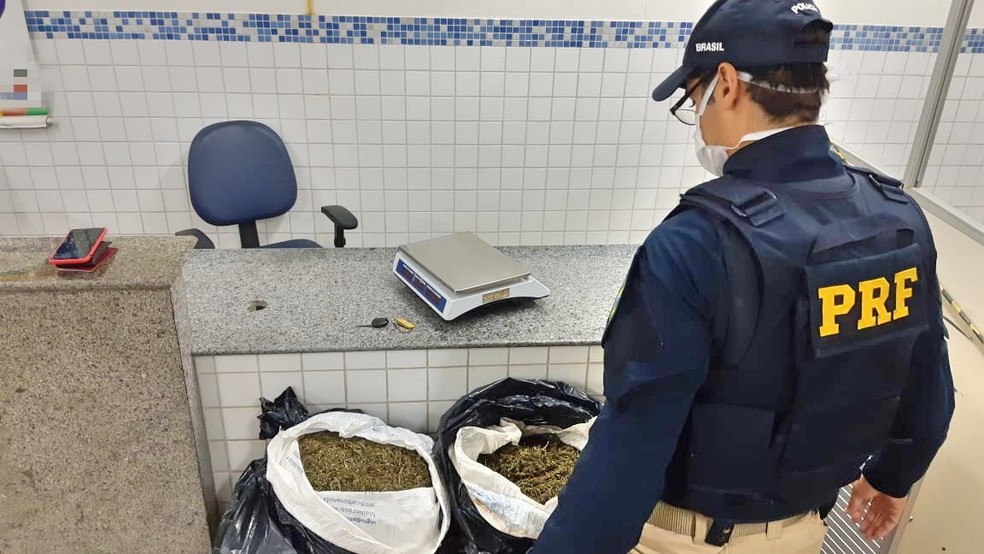Droga foi encontrada no porta-malas do carro, em Floresta — Foto: PRF/Divulgação
