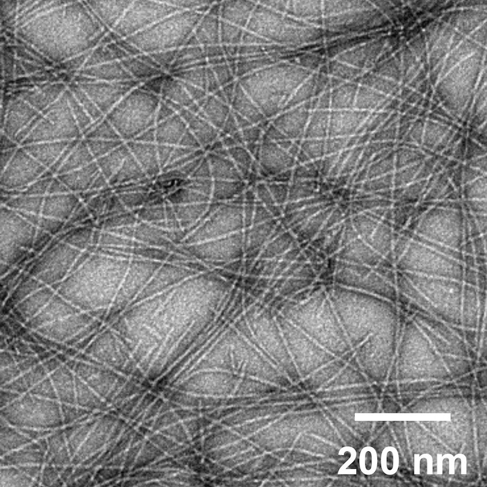 Nanofibras podem induzir uma resposta imune e ativar células T sem o uso de adjuvantes adicionais — Foto: Collier Lab
