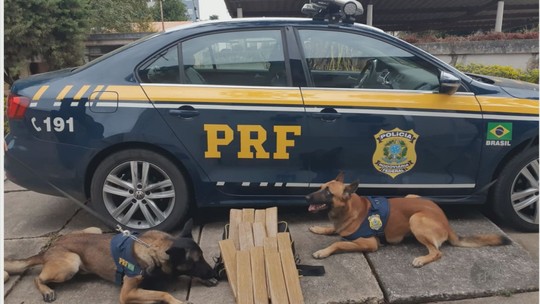 Polícia Rodoviária Federal apreende 10 Kg de maconha em bagagem de passageiros na Fernão Dias