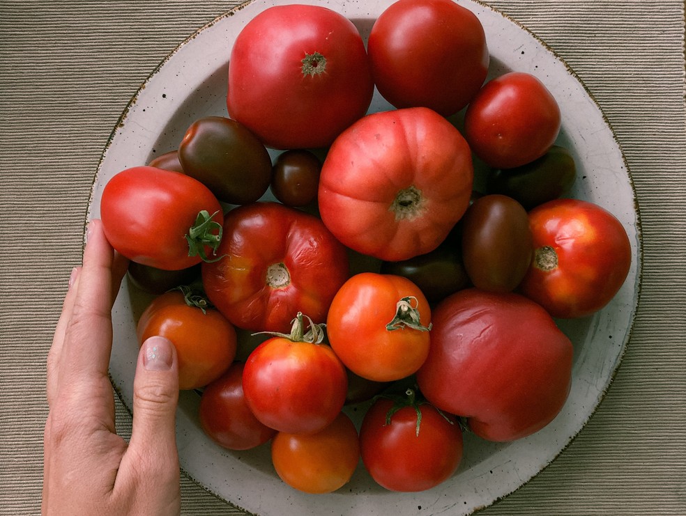 Aprenda como escolher tomate — Foto: Reprodução da internet
