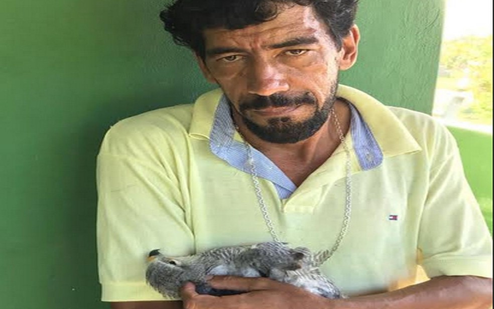 Ave morta nos braços no tratador Percílio  (Foto: Arquivo Pessoal )