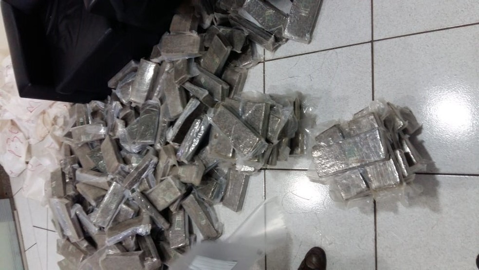 PM apreendeu 286 quilos de maconha em casa de Limeira (Foto: Polícia Militar )