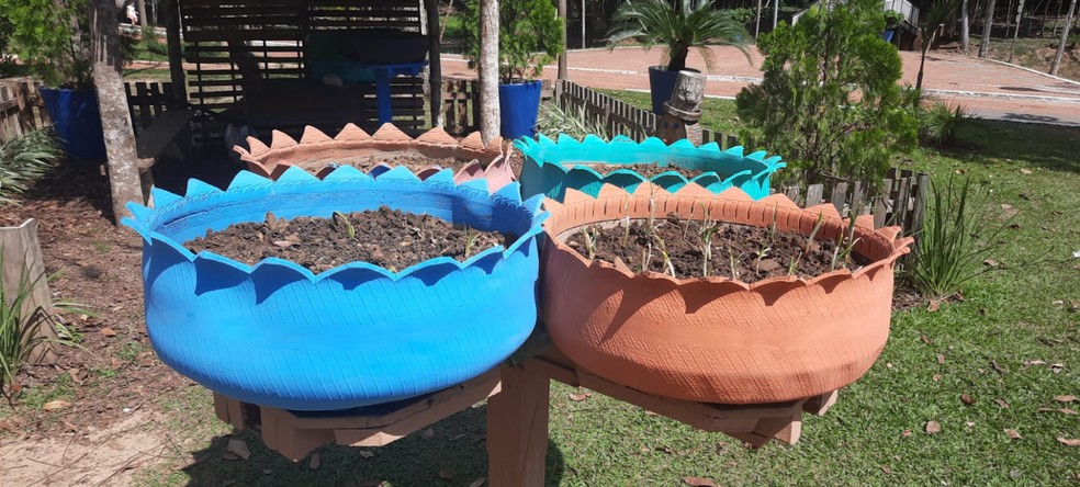 Horta vai desde o modelo solo ao conjunto — Foto: Janine Brasil/g1 AC