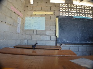 Educação em crise no Haiti faz professores migrarem para Campinas (Foto: Lana Torres / G1)