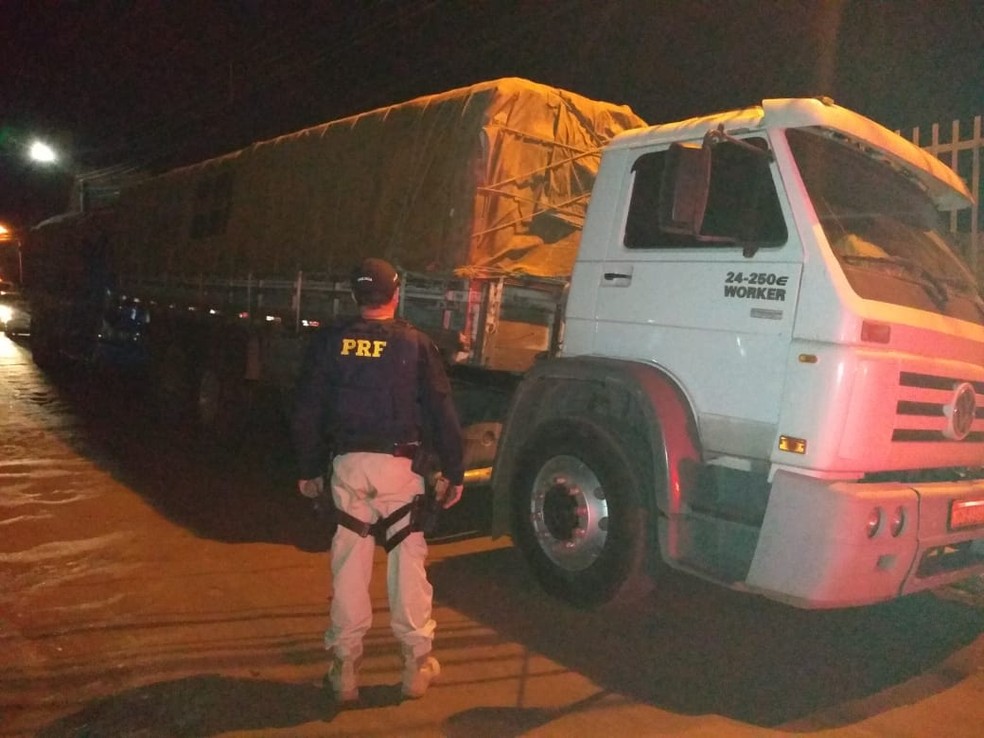 Motoristas foram entregues aos cuidados da PolÃ­cia JudiciÃ¡ria onde responderÃ£o pelo crime ambiental e uso de documento falso â Foto: DivulgaÃ§Ã£o/PolÃ­cia RodoviÃ¡ria Federal