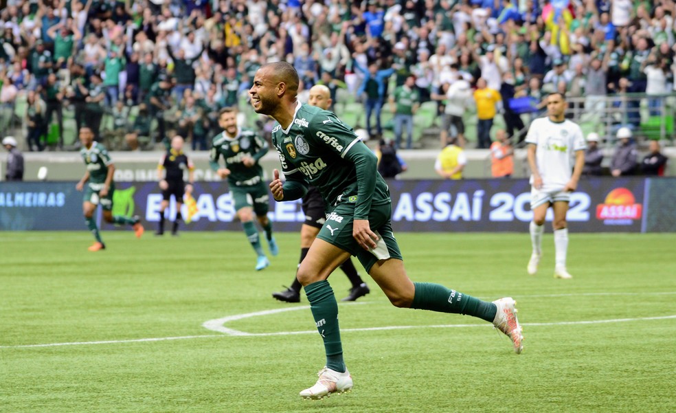 Mayke comemora gol do Palmeiras contra o Goiás — Foto: Marcos Ribolli