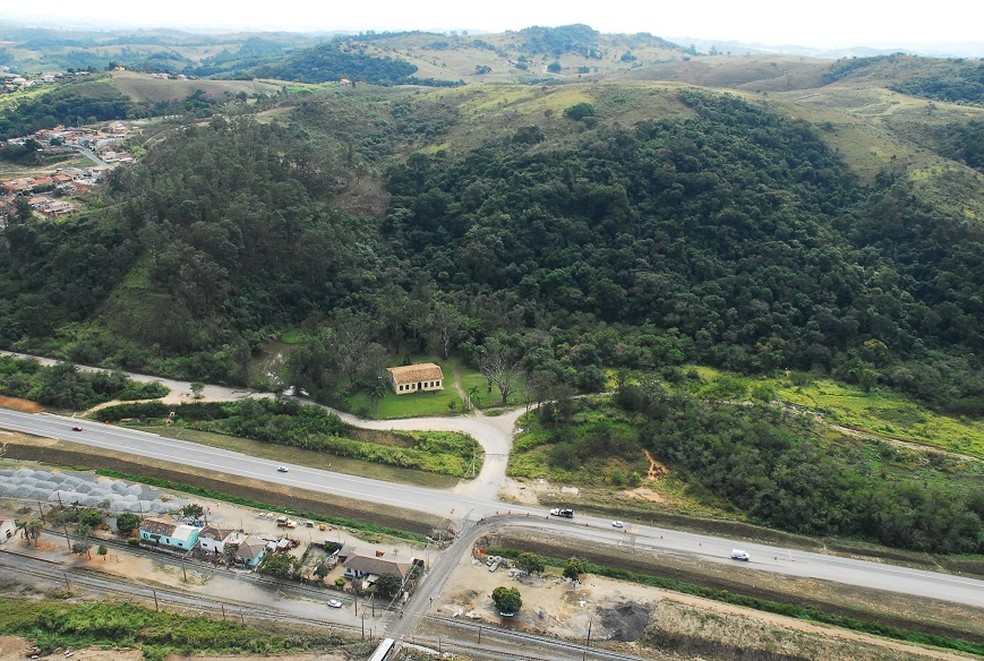 Workshop online sobre mata atlântica e cerrado é realizado em Sorocaba (SP) — Foto: Prefeitura de Sorocaba/Divulgação 
